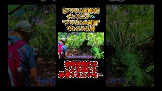 地球温暖化はこんな風にも影響するんやな…アフリカ ザンジバル ジョザニフォレスト [upl. by Eelanna538]