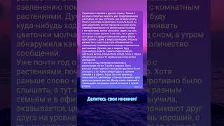 Истории на ночь  Удивительные истории из жизни  Аудио рассказы истории рассказ жизнь любовь [upl. by Anin959]