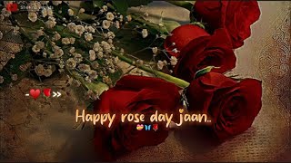 Mere Liye Meri Duniya Ho Tum ♥ Happy Rose Day Jaan💝🌹Rose Day Status 2024 Happy Rose Day Status [upl. by Jim]