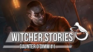 Witcher Stories  Gaunter ODimm Part 12 Witcher Lore [upl. by Seften488]