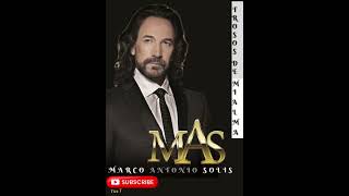 Marco Antonio Solis quotMejor Álbum del Añoquot y quotMejor Álbum Regional MexicanoTrosos de mi Alma💕💕 [upl. by Apthorp]