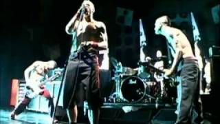 Red Hot Chili Peppers  Subterranean Homesick Blues  Live Off The Map HD [upl. by Nylarac]