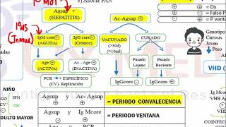 Gastroenterología  Academia Mis Cursos 3 [upl. by Luba271]