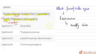 Parasite of Kalaazar dumdum fever is transmitted by Sand fly Phlebotomus and is caused by [upl. by Nnaeiluj]