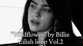 “Wildflower” but it’s “happy and free in leather” to the end part looped requested [upl. by Aneehsal]