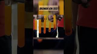 BROMIDE ION TEST chemistry bromideion yellowprecipitate chemistrylaboratory chemistrylab [upl. by Klecka]