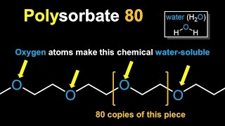 Polysorbate 80 [upl. by Dub23]