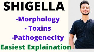 Shigella microbiology Shigella pathogenesis  shigella toxin  shigellosis [upl. by Montague]