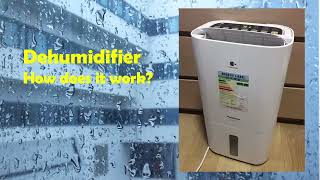 How does a dehumidifier work [upl. by Erdnael]