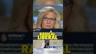 Liz Cheney is now she’s voting for a radical liberal 🤣 [upl. by Hayifas]