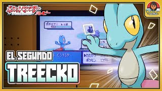 Segundo Treecko Shiny  5 Soft Resets  Rubí J [upl. by Gemina317]