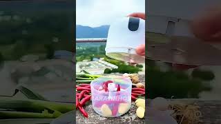 MINI PROCESSADOR DE ALIMENTOS shopee [upl. by Nahshun426]