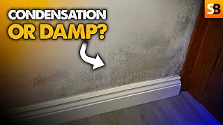 Is This Condensation or Rising Damp [upl. by Baese]