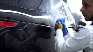 Luxury car detailing with steam sanification  Tecnovap [upl. by Onig]