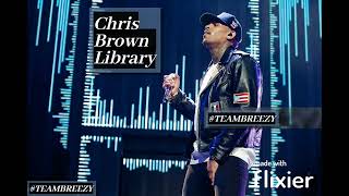 Chris Brown ft Yung Bleu  Possessive No Lil Wayne [upl. by Carola]