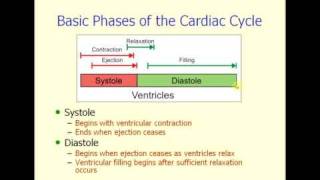 cardiac cycle [upl. by Salokcin]