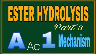 AAc1 Mechanism  Ester Hydrolysis Part 3 [upl. by Dunlavy]