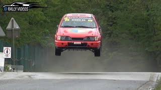 Rallye de Wallonie 2024 Show amp Mistakes [upl. by Phelia633]