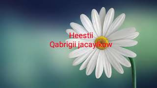 Saynab cige heestii qabrigii jacaylkow [upl. by Rorke]