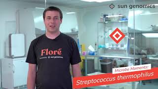 Microbe Moments Streptococcus thermophilus  Sun Genomics [upl. by Atteinotna]