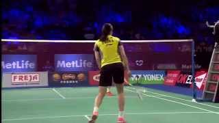 2014 YONEX DENMARK OPEN  F WS  Li X R 1 CHN VS Wang Y H 3 CHN [upl. by Atniuq]