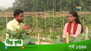 DEEPTO KRISHI  বগুড়া শিবগঞ্জের একজন সফল উদ্যোক্তা সামিউল ইসলাম  Deepto TV [upl. by Ahselet458]