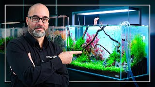 A Perfect Tutorial to Start Your FIRST Planted Aquarium [upl. by Nipsirc592]