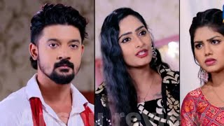 Mo Sindurara Adhikara odia serial best part 1359  Blog 219 Tarang tv AnshuReviewj1v [upl. by Weisbart]