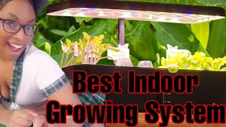 RainPoint Indoor Hydroponic Growing System Unboxing Review hydroponics aerogarden indoorplants [upl. by Yrbua]