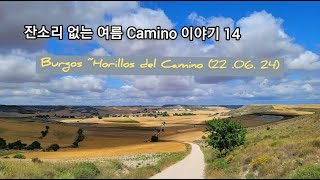 잔소리 없는 여름 산티아고 순례길 이야기 14 BurgosHornillos del Camino220624 [upl. by Ras655]