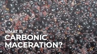 What is Carbonic Maceration [upl. by Bickart]