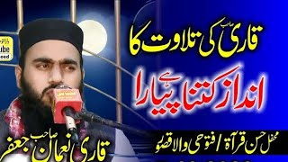 Husnay e qirat program most beautiful heart touching quran by qari noman bin jaffar qurantilawat [upl. by Adnaloj662]