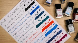 How Many Blue Inks Does a Person Need 🔹 Swatching Pilot Iroshizuku Boxed Ink Sets [upl. by Lemmuela]