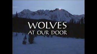 Discovery Channel Wolves at Our Door 1997 [upl. by Atterrol]