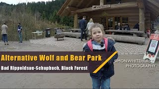 Alternative Wolf and Bear Park  Alternativer Wolf und Bärenpark  Schwarzwald  Black Forest [upl. by Oderf]