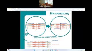 CG  BIO160  Introduction to Skeletal Muscles [upl. by Boykins]