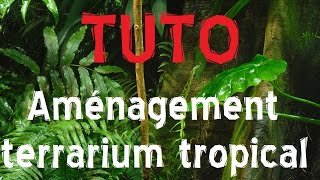 Tuto5  Aménagement dun terrarium Tropical [upl. by Leeann686]