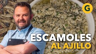 DESDE MÉXICO ESCAMOLES al AJILLO 🥘 por Eduardo Osuna  El Gourmet [upl. by Aelyak934]