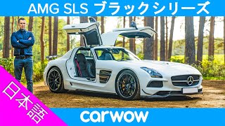 【詳細レビュー】AMG SLS ブラックシリーズ  世紀のスーパーカー [upl. by Retha]