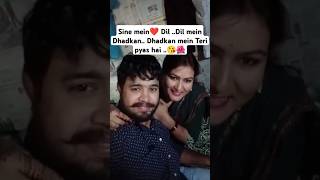 Seene mein Dil Dil mein Dhadkan lovestatus 😘video 😘❤️ [upl. by Jobye]