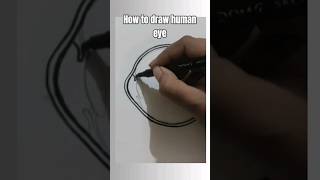 how to draw Human eye structure of human eye class 10shorts science eyetutorialhumaneye [upl. by Lukash]