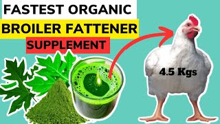 FASTEST ORGANIC BROILER FATTENER SUPPLEMENT  Fattening Broilers Has Never Been This Easy [upl. by Griggs]