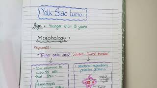 SEMINOMA and NONSEMINOMAS  Testicular Cancers Pathology [upl. by Clementas591]