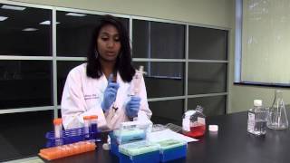 Micropipetting Basics [upl. by Isteb]