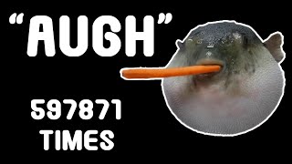 Pufferfish Eating a Carrot 597871 Times [upl. by Cnahc]