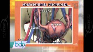 PROCREAR ¿La artritis afecta la fertilidad [upl. by Kristo578]