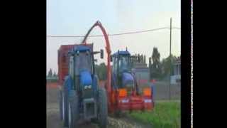 sugar beet leaf harvesting [upl. by Frierson]