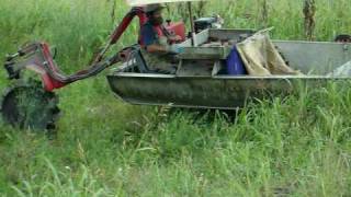 Harvesting Crawfish in Monterey Louisiana 8 [upl. by Albie]