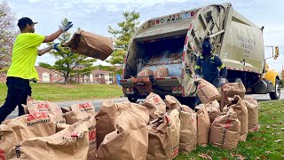 Tringali McNeilus Garbage Truck Packing Michigan’s Insane Leaf Piles [upl. by Jadwiga]