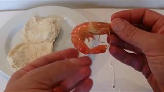 Easy Garlic Butter Shrimp Recipe [upl. by Pollerd]